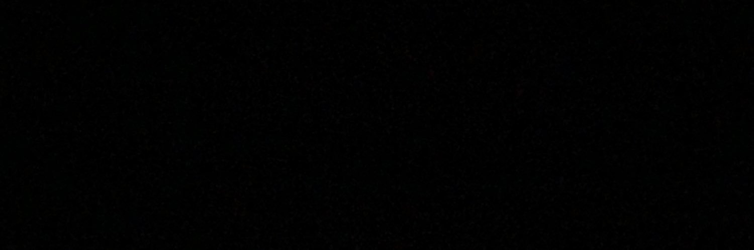 nilpsin's profile banner image