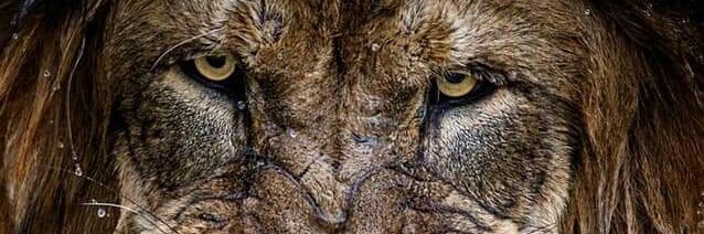Saul_G11's profile banner image