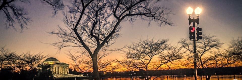 RollnWithDolan banner