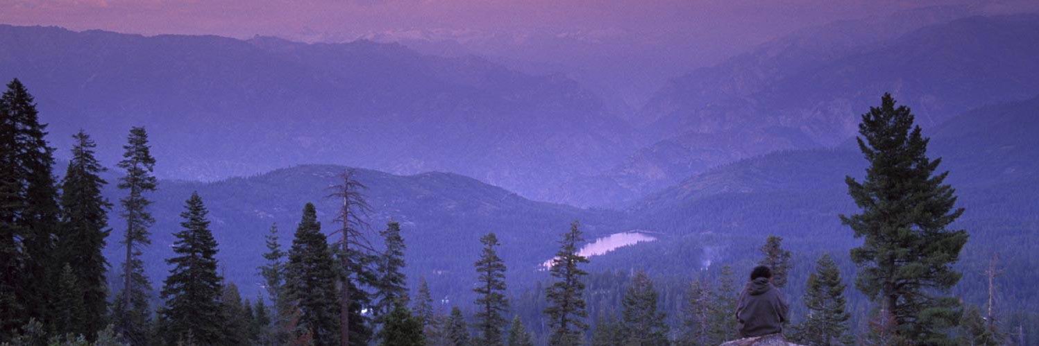 Lori Peterson banner