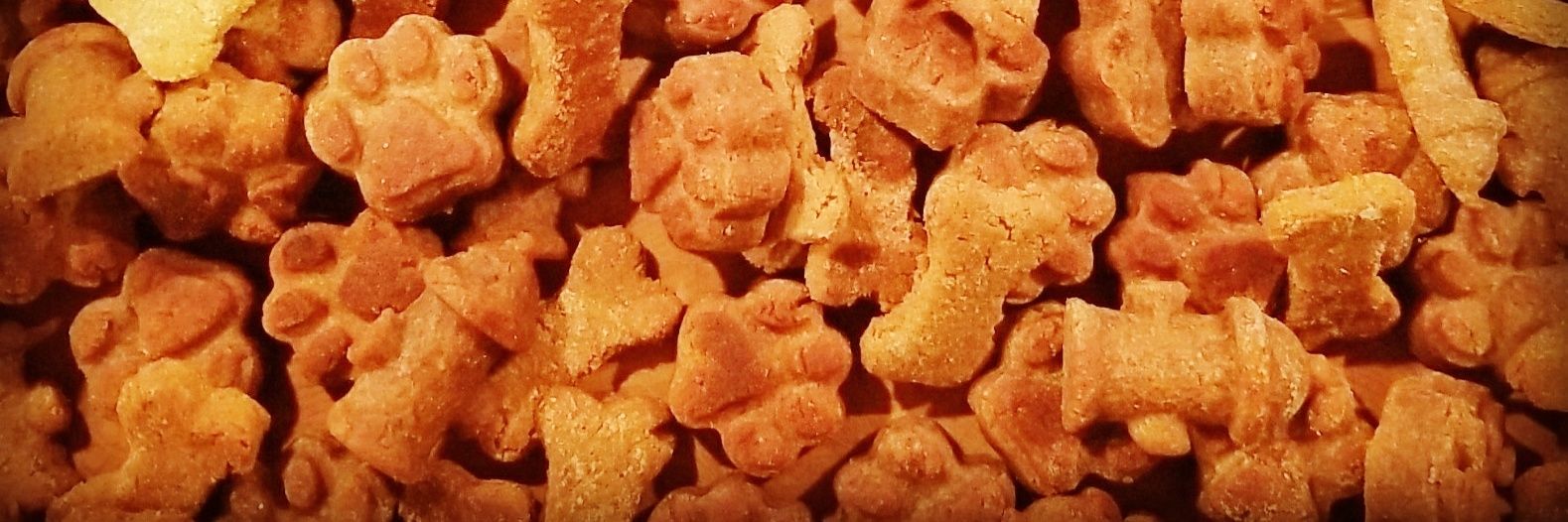 ChancesCookies's profile banner image
