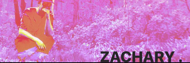 ZellZach's profile banner image