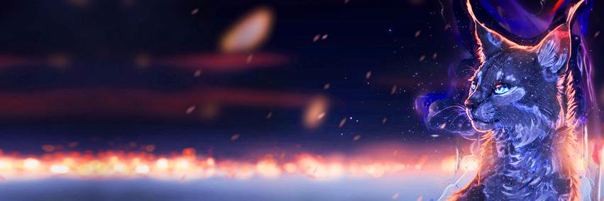 Andre Luis de Moraes banner