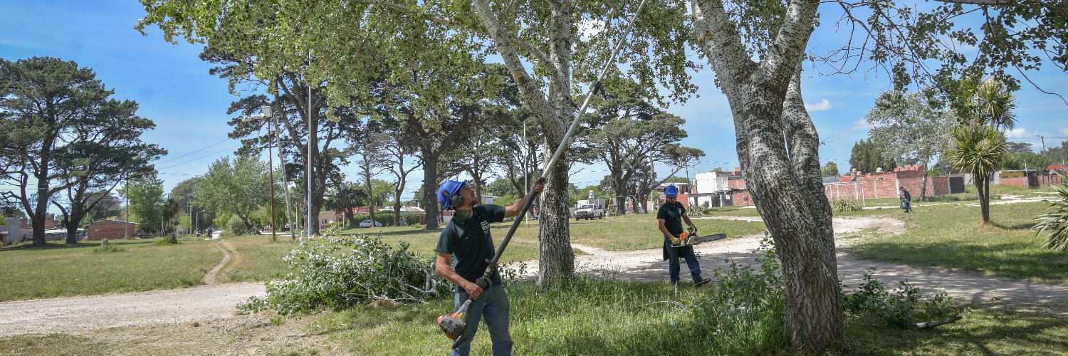 Servicios Urbanos Mar del Plata banner