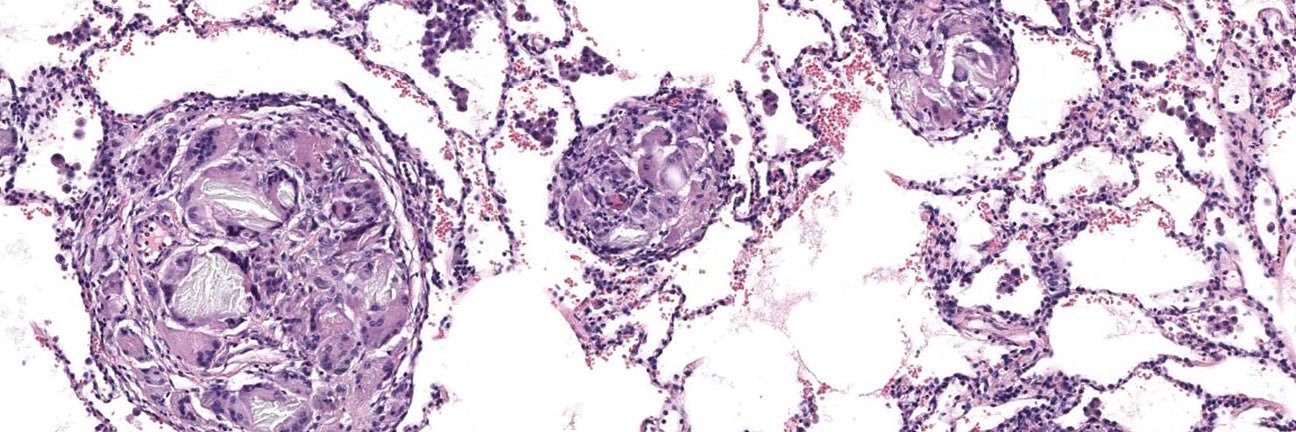 MaxwellSmithMD's profile banner image