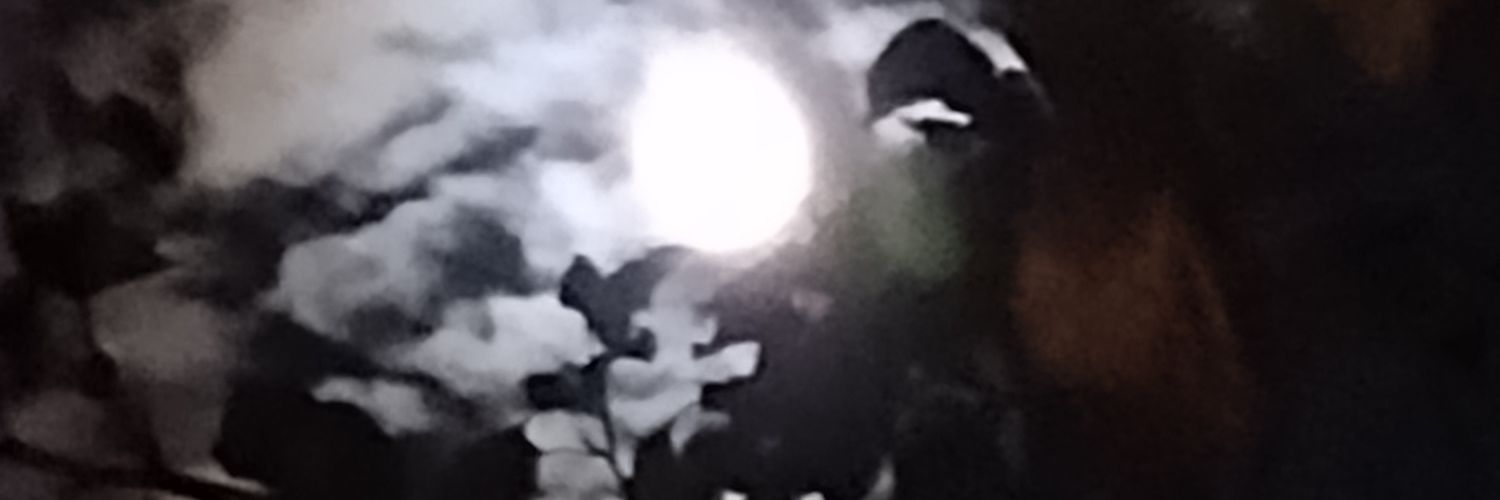 RubyyAnnRod's profile banner image