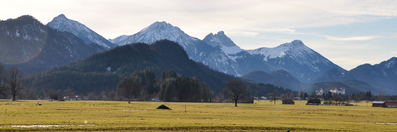 Oğuz Dumanoğlu banner
