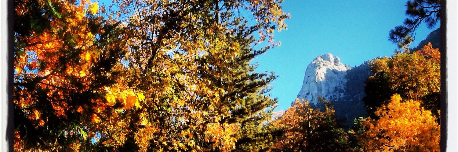 beerett's profile banner image