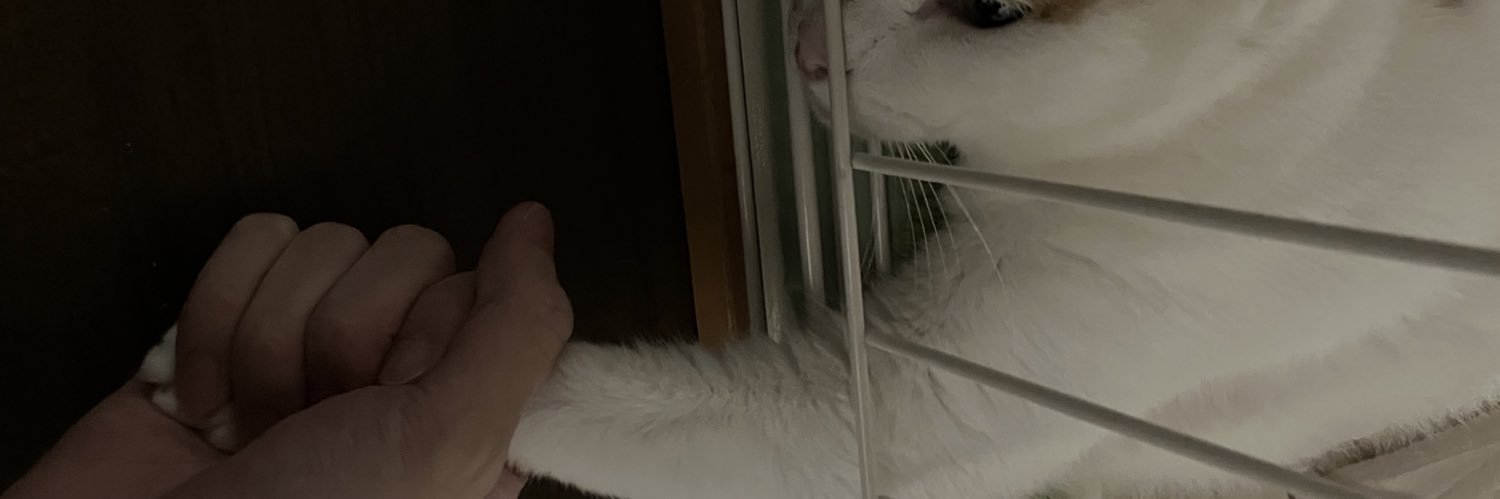 Iight_S's profile banner image