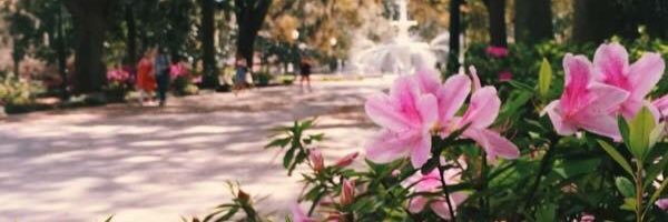 Ashleighbre96's profile banner image