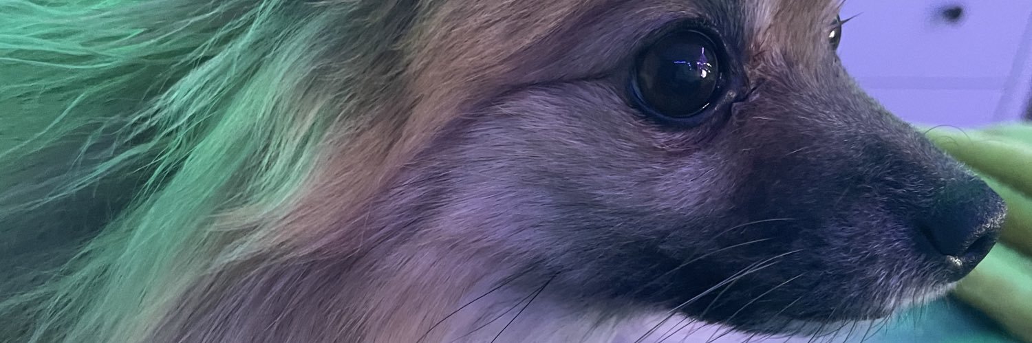 stephmorrisx93's profile banner image