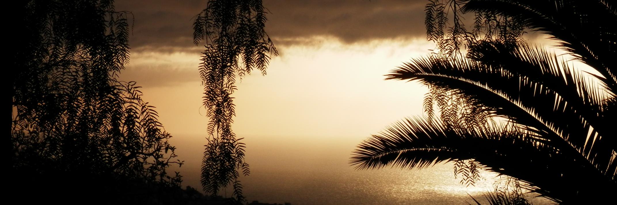 Pabsw_'s profile banner image