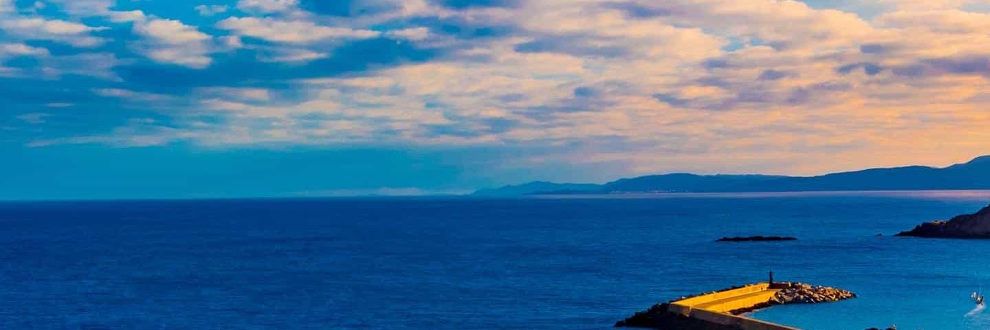 Damolie's profile banner image