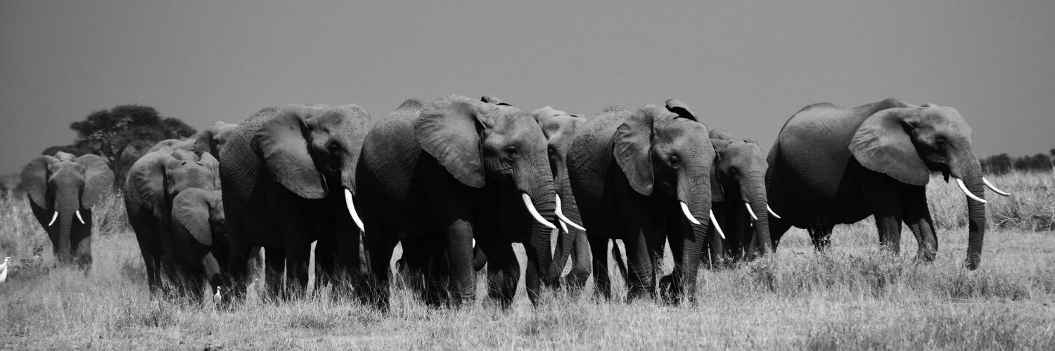 Isheta Salgaocar banner