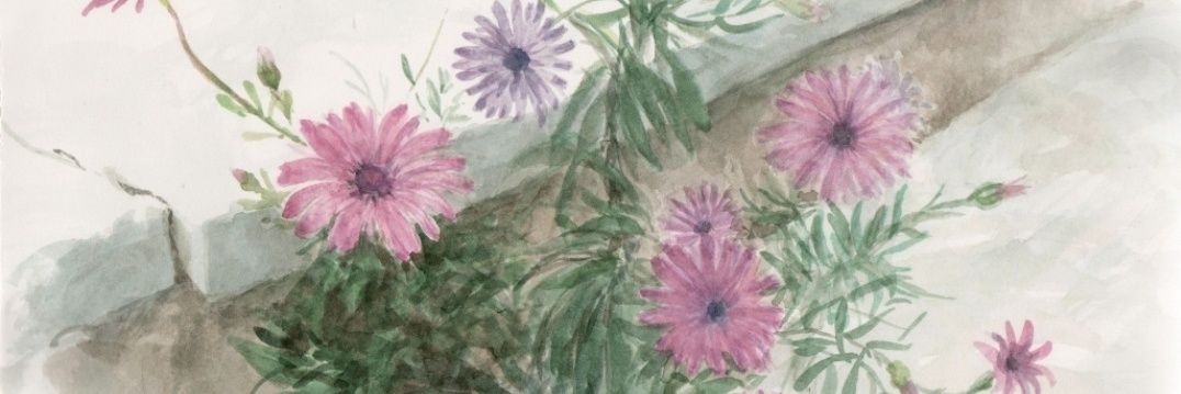 espeespin's profile banner image