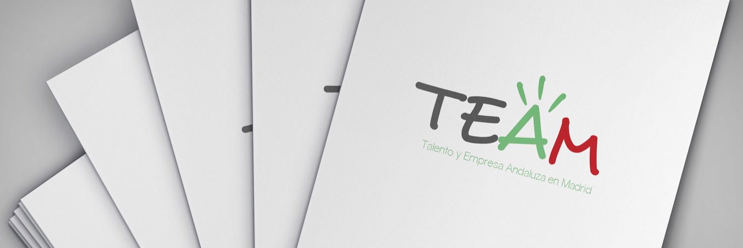 TEAM banner
