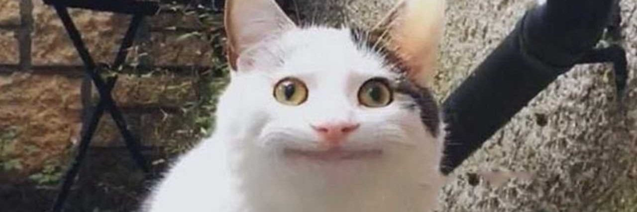 omgitsoxyy's profile banner image