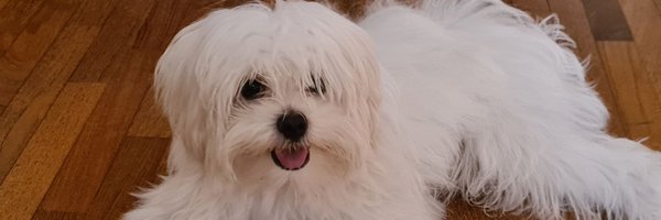 centerofhip Profile Banner