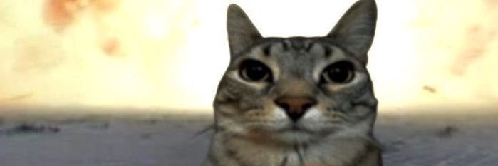 annaelizs's profile banner image