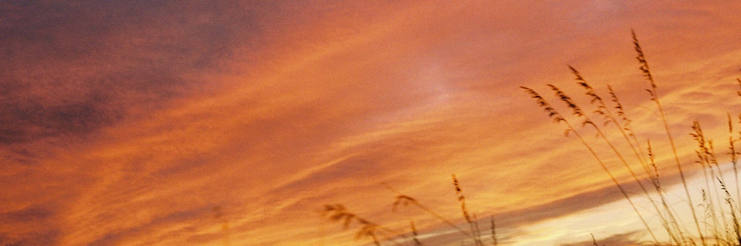 mikimore21's profile banner image