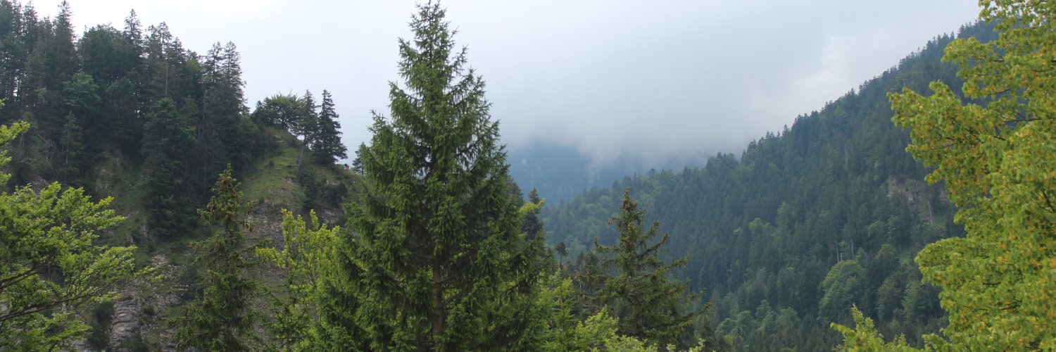 JordanBookRoom's profile banner image