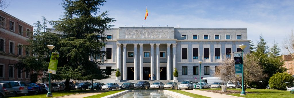 CSICprotocolo banner