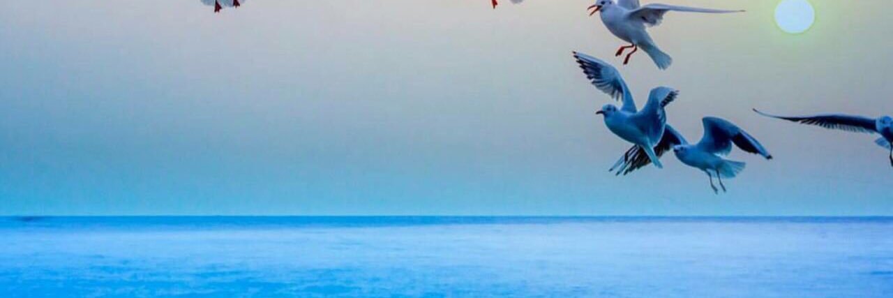 kald2599's profile banner image