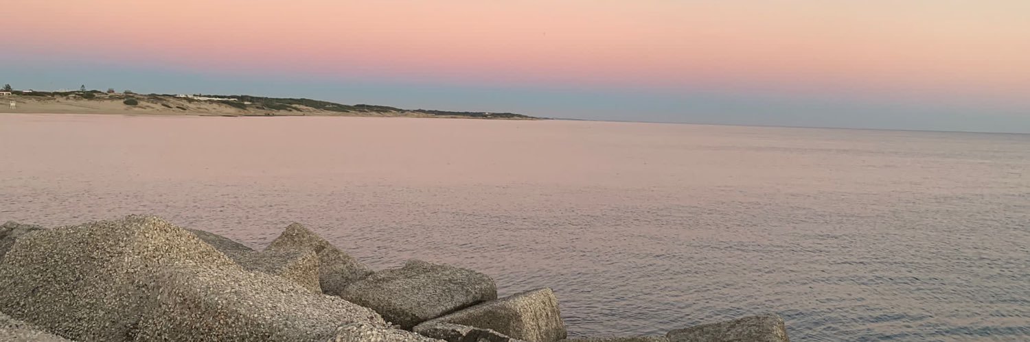 ada_cavaliere's profile banner image