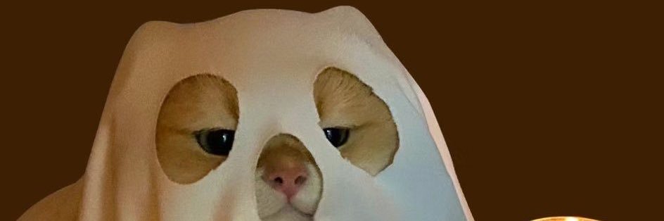 ittzel_palacios's profile banner image