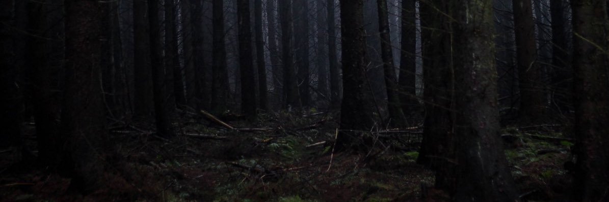 greygruffudd's profile banner image