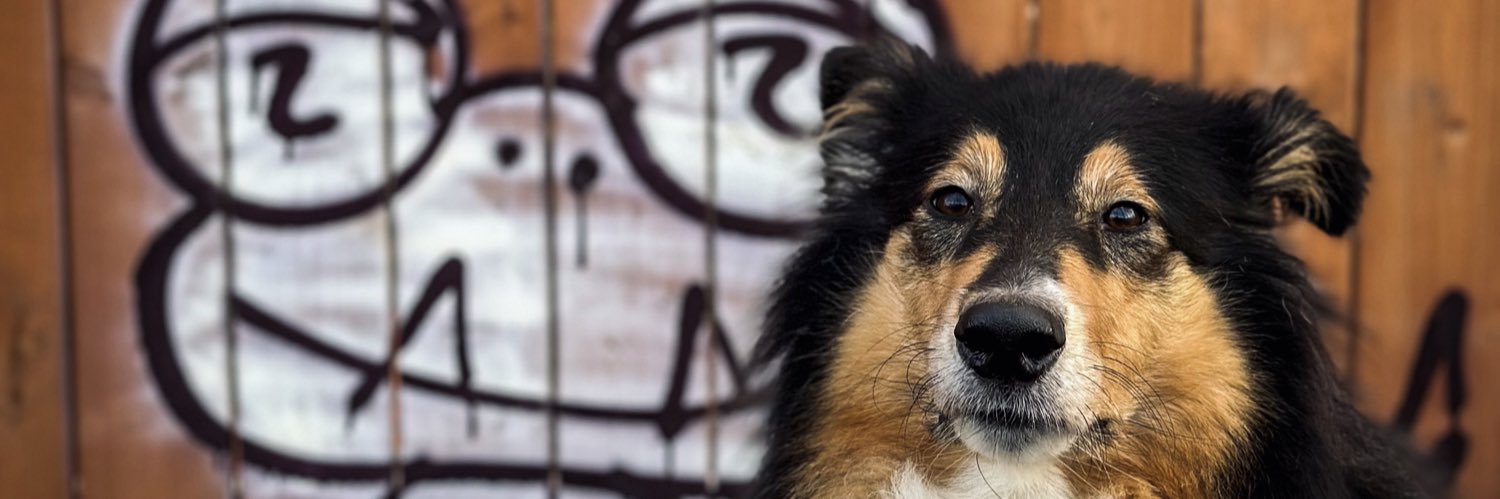 novackovak's profile banner image
