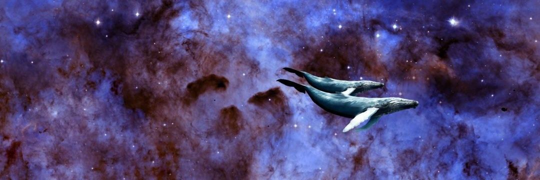 _dinalaska_'s profile banner image