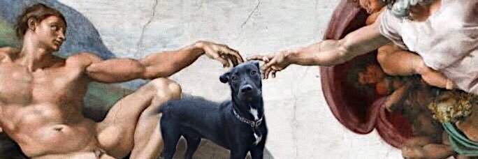 yannapacheco's profile banner image