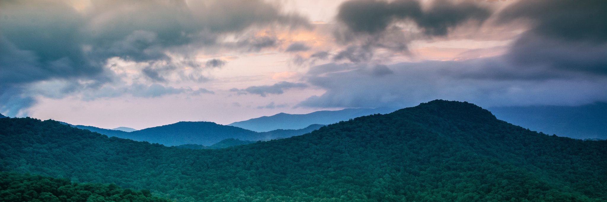 thenumanity's profile banner image