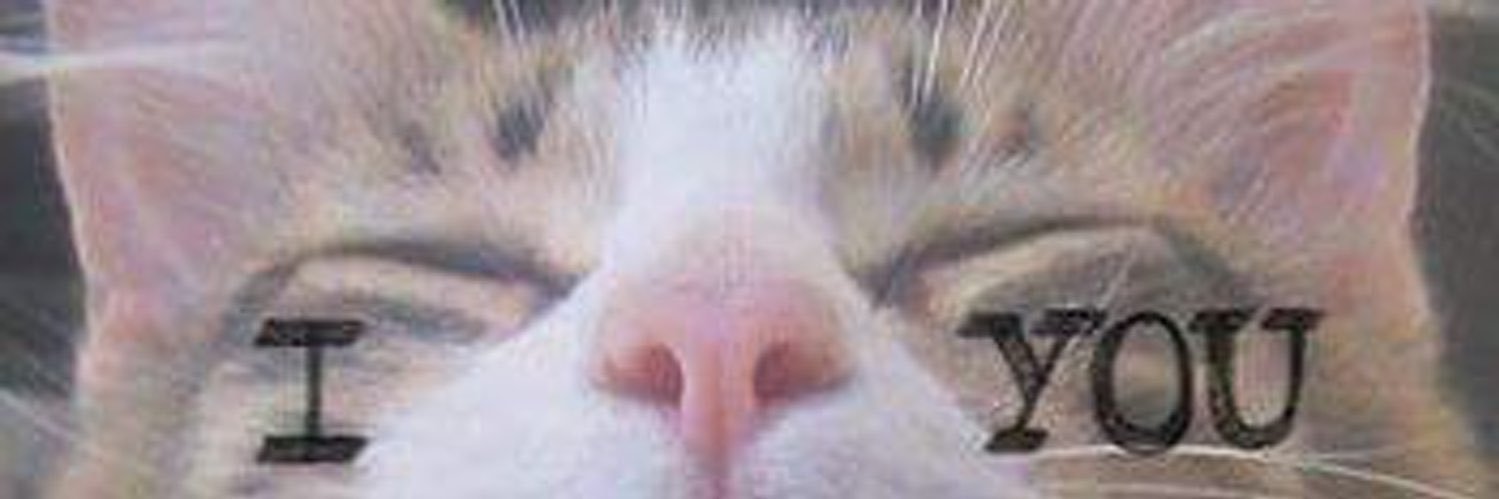 Michu_FR's profile banner image