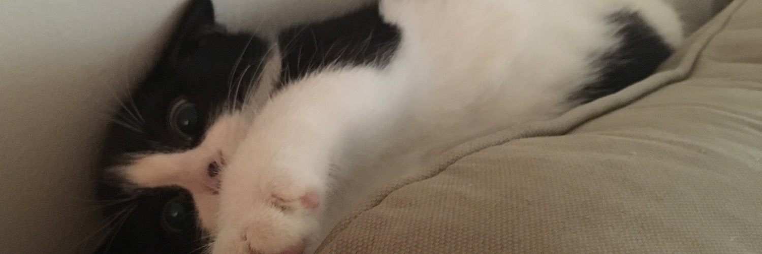 ajbrycee's profile banner image