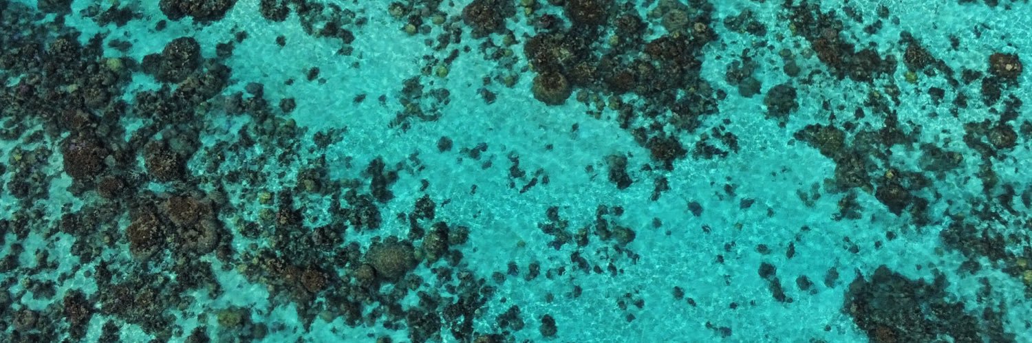TDubouch's profile banner image