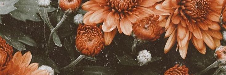 RoxaneLegrand's profile banner image