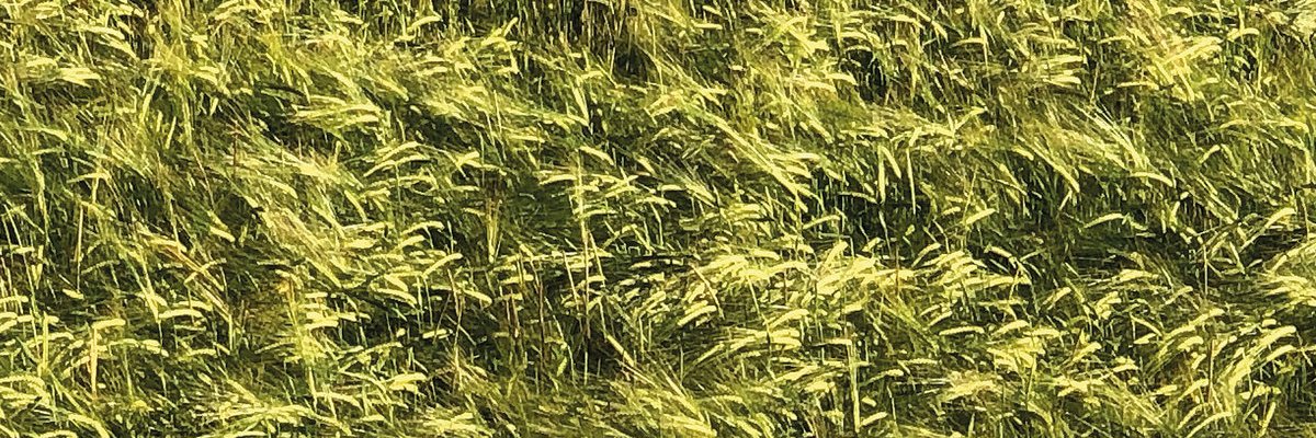 BomagJackson's profile banner image