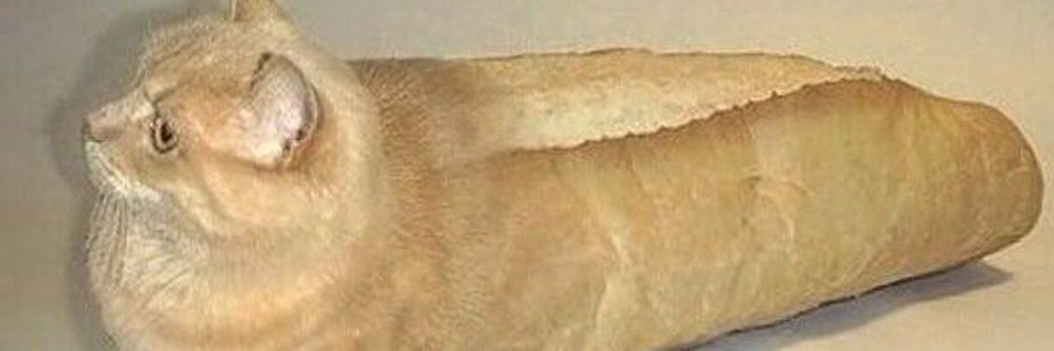 mintfile's profile banner image