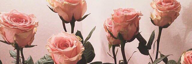 4022_riho's profile banner image