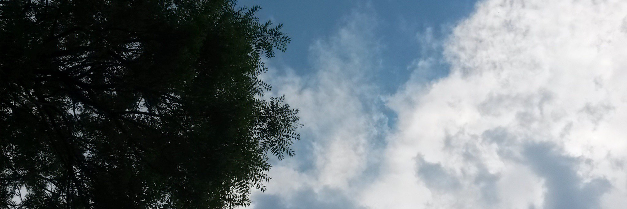 KimS_Sparkle's profile banner image