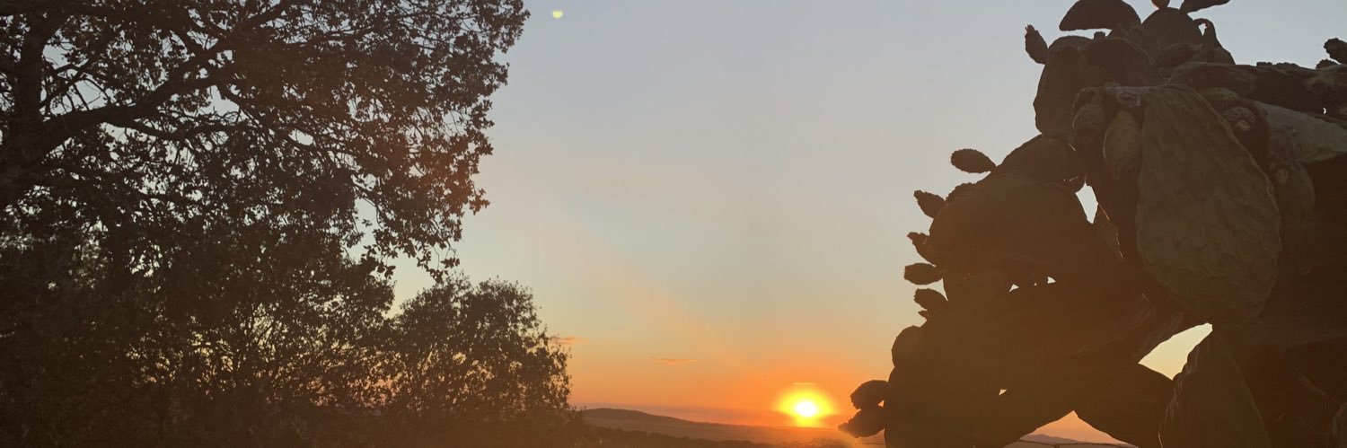 manacarino's profile banner image