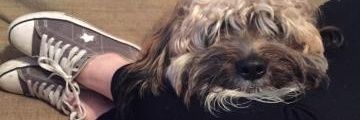 JessC2202's profile banner image