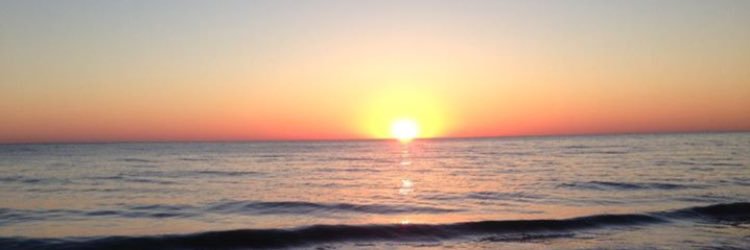 ipinkdoyou's profile banner image