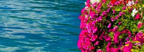 Lucy_78900's profile banner image