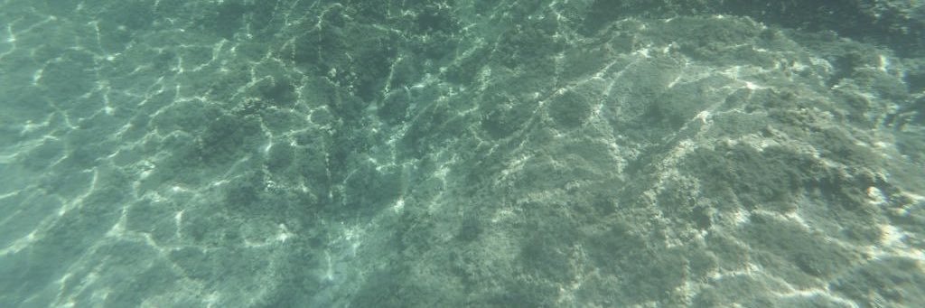 analliimona's profile banner image