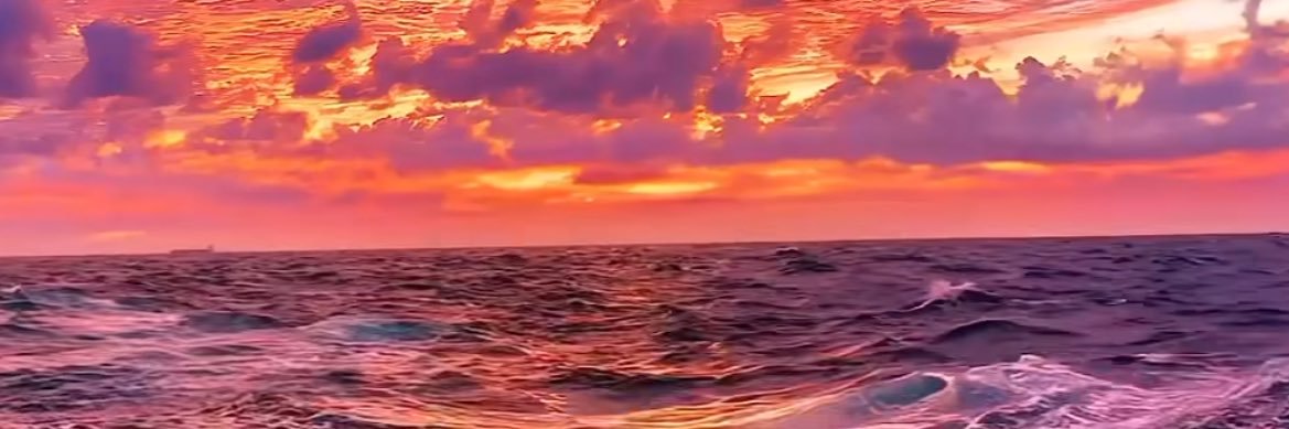WhiteSwanFX's profile banner image