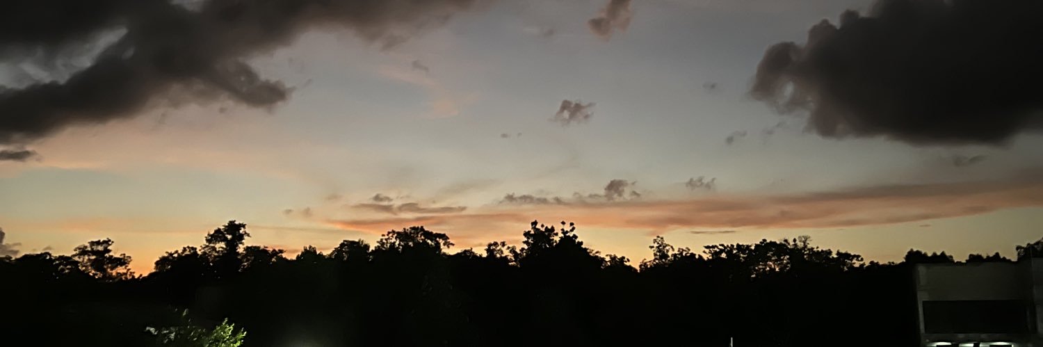 DianaaSalas_'s profile banner image