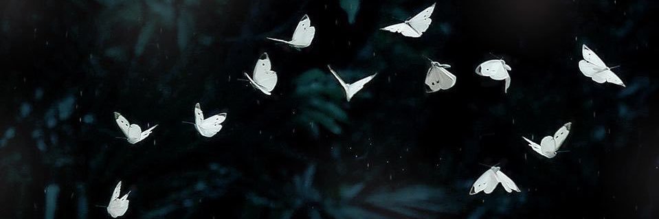 HALASM1's profile banner image